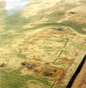 NJ62NE0024 - NEWTON OF LEWESK 
