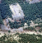 NK04SW0025 - LENABO, FOREST OF DEER 